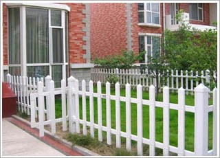 ��ƺ�Fˇ�o��