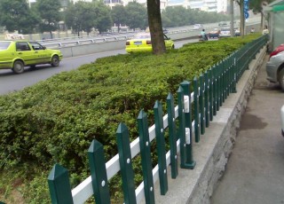 ��ƺ�Fˇ�o��